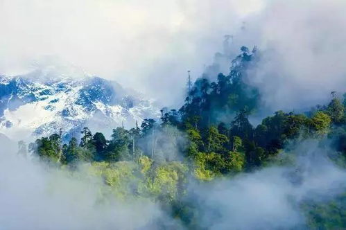 纵然云雾绕山，仍需勇往直前