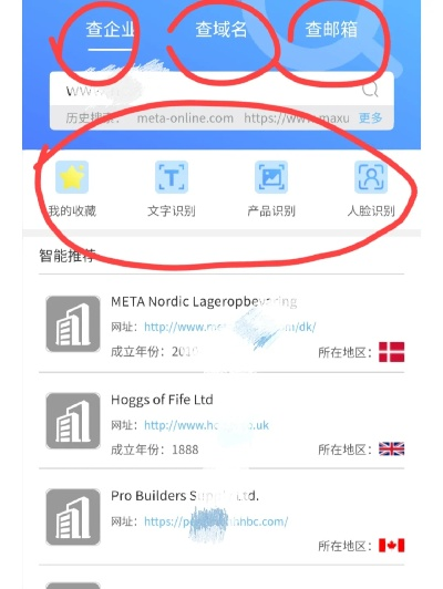 如何查域名证书，全面指南