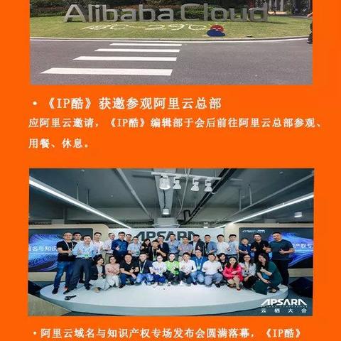 网页打不开，你输入的域名无法显示的困扰与解决之道