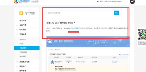 公司英文域名的购买、费用及续费指南