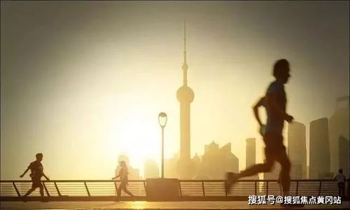 不同的域名注册机构价格为什么不一样？