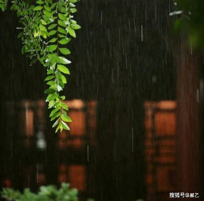 雨云漫舞，自然界的诗意与神秘