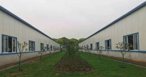 QQ农场被封20天，牧场未封，高手教你如何改域名重进