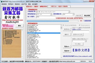 企业邮箱与中文域名绑定，解锁数字时代新机遇