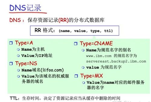 下列关于DNS域名服务协议的说法中正确的是，探究DNS域名解析的奥秘