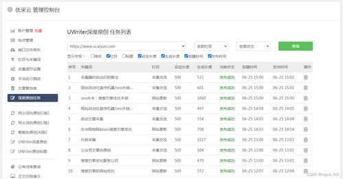 站长工具，打造高效专业的网站管理与优化的实践指南