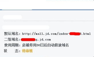 免费二级域名，申请后的闲置与资源利用反思