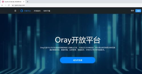 XBS影视系统结合花生壳域名，实现外网访问的详细指南