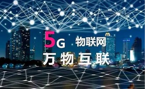 翔达网络，开创数字时代新纪元