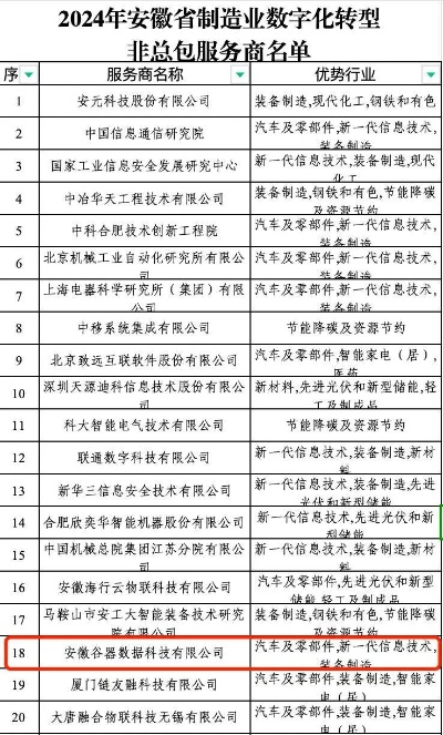 网络浪潮中的安徽傲龙，打造数字经济新名片