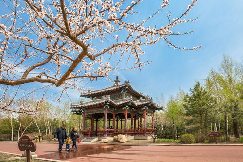 绿色空间的魔法，从心到心的绿色建筑革命