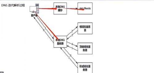 域名服务DNS的主要功能