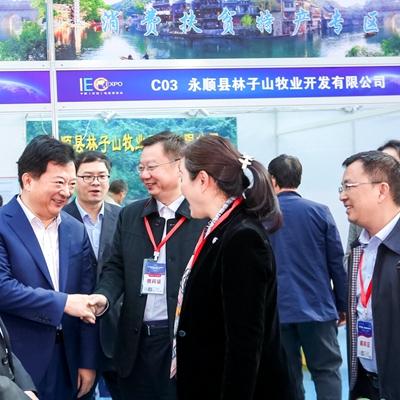 中国商务网，透视中国电商行业的崛起与影响