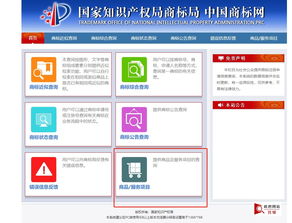 如何注册免费顶级域名，全面指南