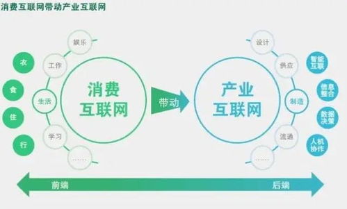 天网互联，重塑未来社会治理的数字经济基石