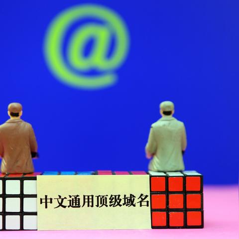 所谓的域名转出，是转移还是重新绑定？