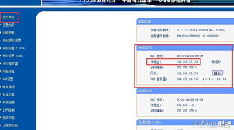 如何将域名指向动态IP，详细步骤与技巧