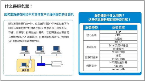 备案的是域名还是服务器？解析互联网备案的实质与重要性
