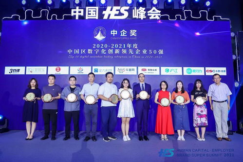 上海中南网络，破茧成蝶的数字化转型之路