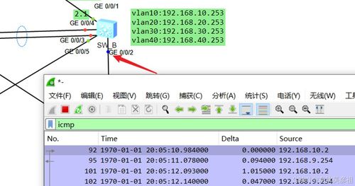 如何在ServerPro国际网上构建一个高效稳定的服务器环境