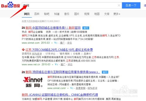 新网域名出错，解析与解决之道