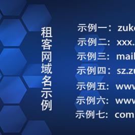 什么叫2级域名？深入解析与实际应用