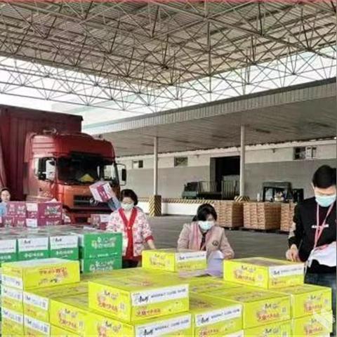 网络中国，数字经济浪潮下的创新与变革