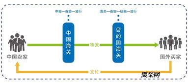 域名回购，策略、流程与注意事项