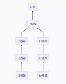 Internet顶级域名分类解析，模式与多样性
