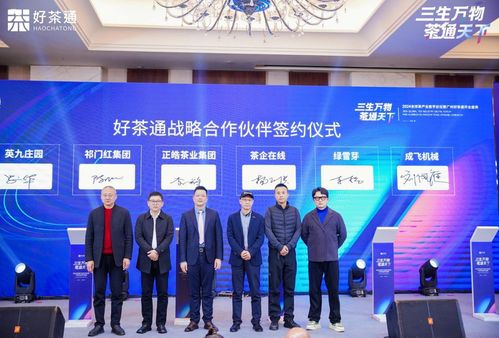 中软海纳—创新科技引领数字时代新未来