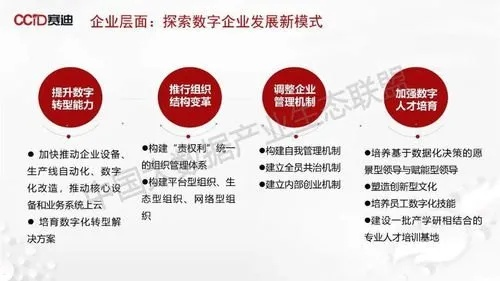 信息化浪潮下的博洋网络，重塑企业模式的未来路径