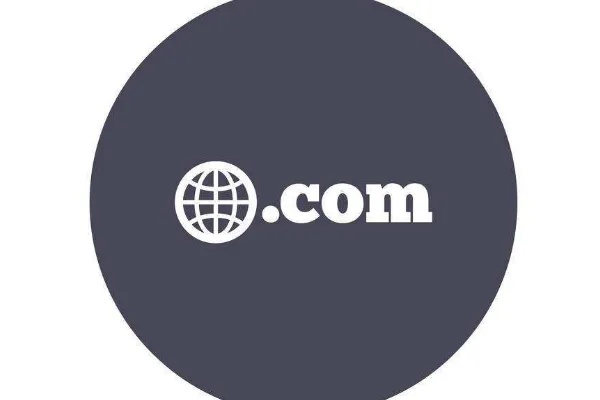 Internet域名中的类型com代表的单位性质是，商业与全球性的象征