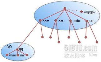 0得分DNS顶级域名中表示商业组织的是哪一个？