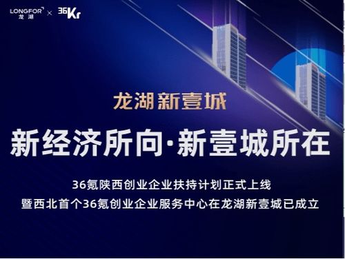 风易在线，引领数字时代的创新服务先锋