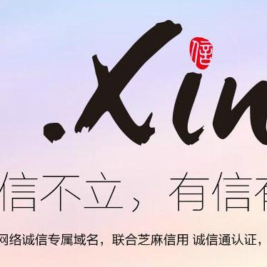 通用网址与中文域名，并非简单的竞争关系