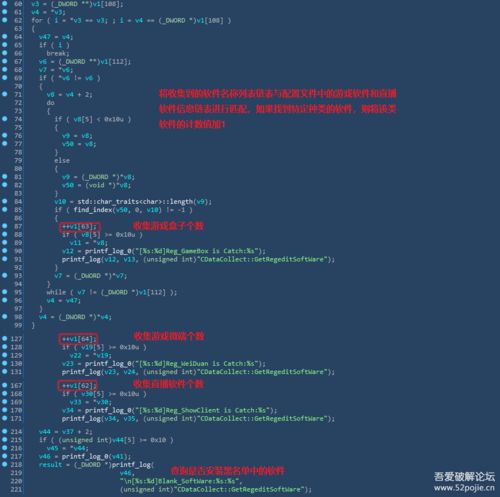 DNS009，解密数字时代的隐秘密码与安全防护