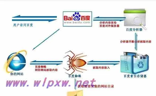 靠最网背后的秘密，解锁全网资源的高效搜索引擎