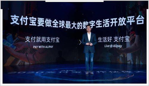 黑鹰互联，重塑数字时代的全球合作新生态