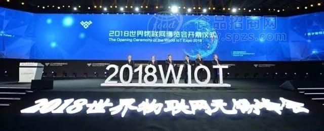 楠羽网络，编织数字世界的温暖与梦想