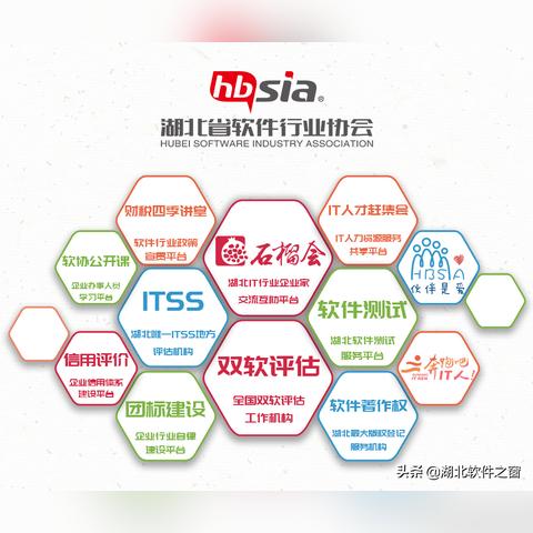 自由网络科技，连接无界，创新无限