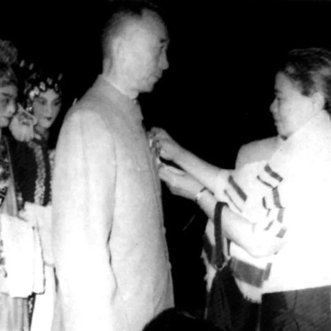 海外服务器租用哪家好，全面解析与推荐