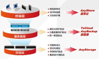 开拓数据新维度，拓维数据引领未来的数字创新