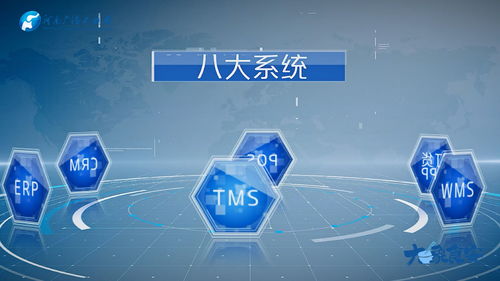 新数据网络，重塑数字时代的经济与社会生态
