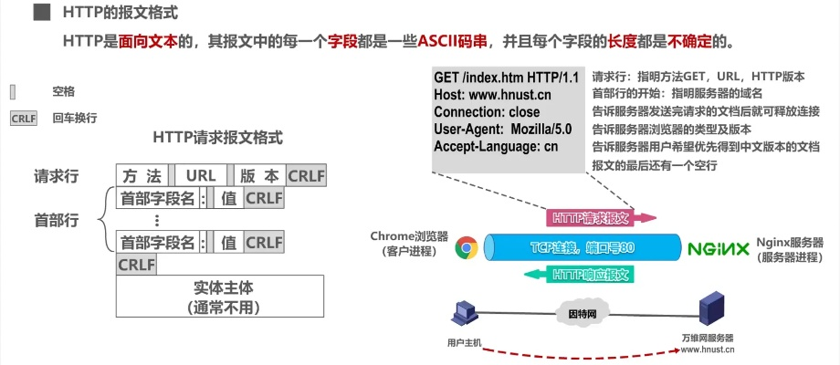 URL，超文本协议的基石与资源定位的关键