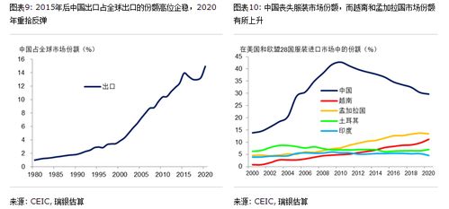 中国阳网在数字化时代的崛起与影响