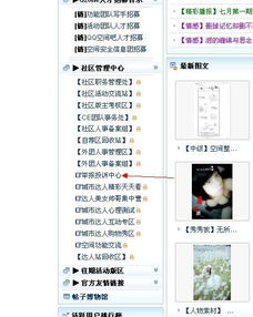 更换域名后如何重新设置网站空间
