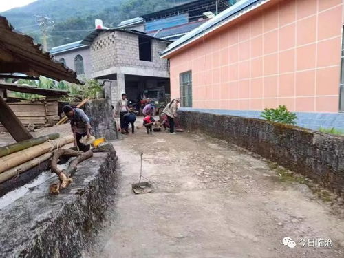 山里的呼唤，网络桥梁连接深山人家