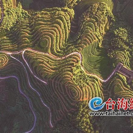 标效提升，千讯网络科技引领数字化时代信息传输新变革
