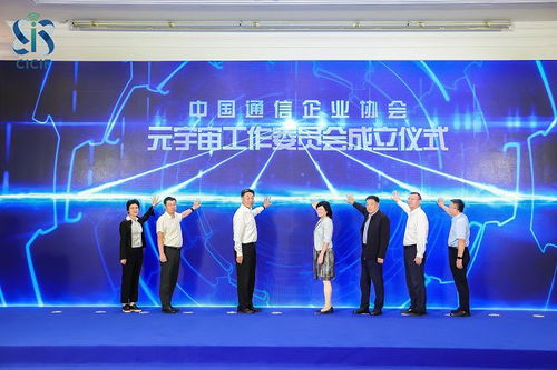 中国数网，编织数字时代新未来
