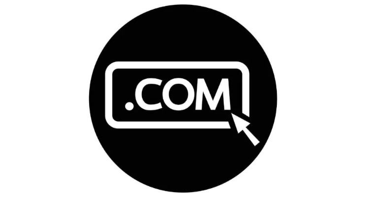 www.smtcomcn的二级域名是什么？